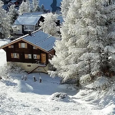 Ferienwohnung Heini Direkt An Der Piste In Lejlighed *