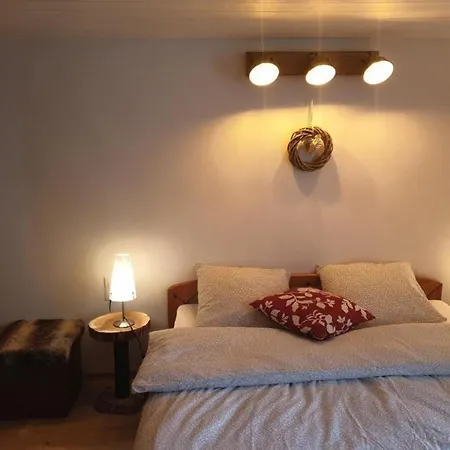 Lejlighed Ferienwohnung Heini Direkt An Der Piste In